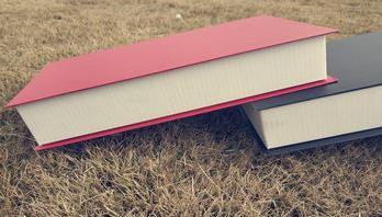 哪些情況會被終身禁駕?哪些違法行為會被終身禁駕?