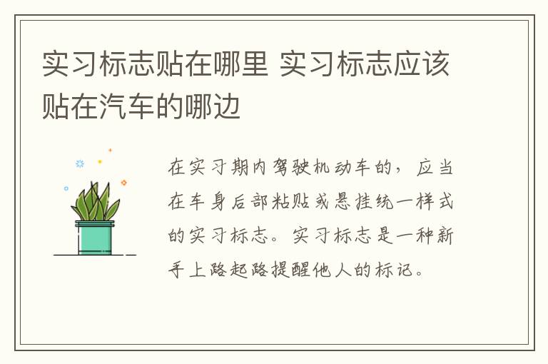 實習(xí)標(biāo)志貼在哪里 實習(xí)標(biāo)志應(yīng)該貼在汽車的哪邊