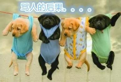 網絡噴子罵人詞匯 網絡侮辱性極強的罵人流行語詞語