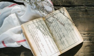 欲擒故縱是什么意思  欲擒故縱的典故