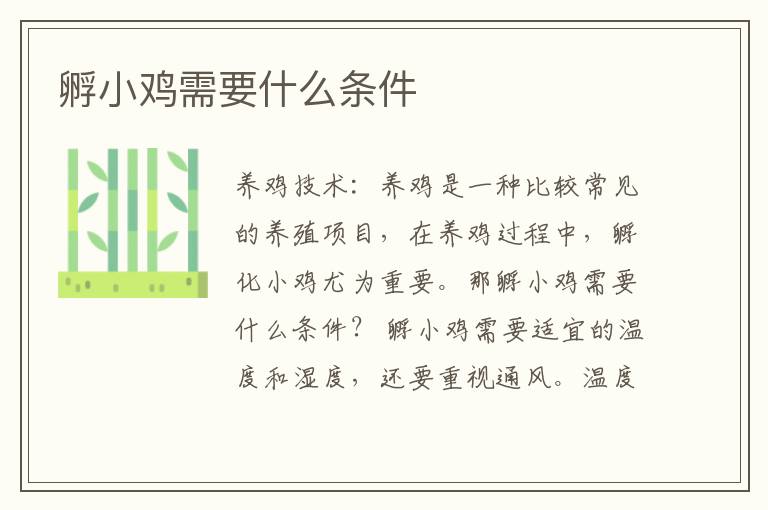 孵小雞需要什么條件 孵化小雞的條件有哪些