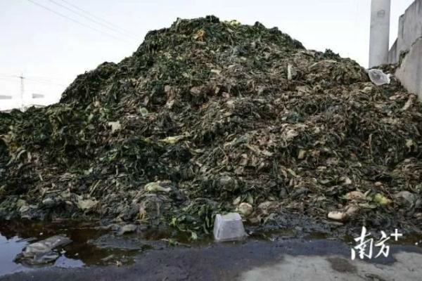 知名橄欖菜企業生產環境觸目驚心 網友：以后不敢吃了