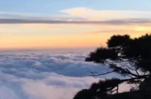 遠赴人間驚鴻宴是什么意思