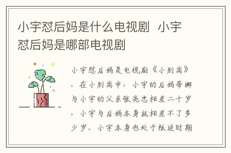 小宇懟后媽是什么電視劇  小宇懟后媽是哪部電視劇