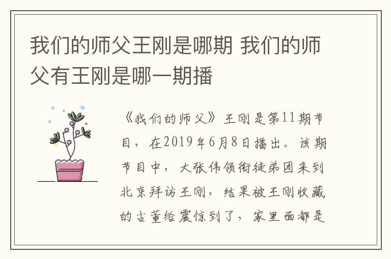 我們的師父王剛是哪期 我們的師父有王剛是哪一期播