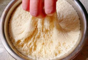 發(fā)面放白糖起什么作用(蒸制面食中為什么要添加糖)