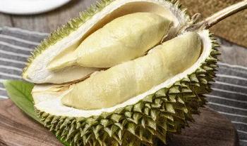 榴蓮種植條件和區(qū)域？榴蓮種植要哪些條件？