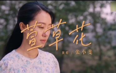 張小斐《萱草花》歌詞