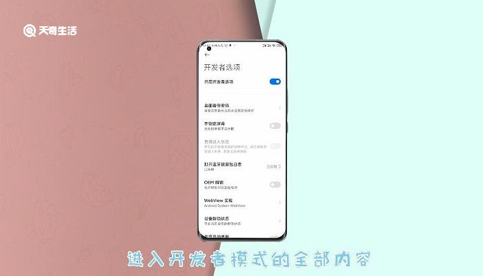 小米怎么進開發者模式 小米如何進開發者模式