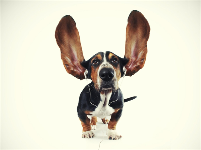 張智成個人資料