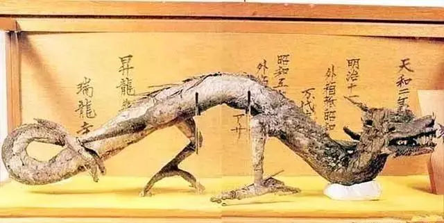 2億年前是哪個(gè)朝代？朝代名稱有五個(gè)來由