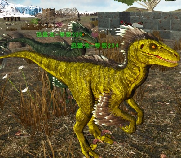 方舟生存進化孵龍變異進階圖文攻略 變異需要什么條件