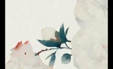 本命年有什么講究和禁忌 本命年都有什么大忌和講究