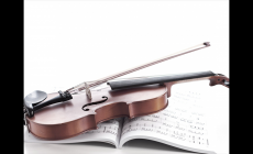 張克帆個人資料