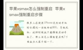 蘋果xsmax怎么強(qiáng)制重啟  蘋果xsmax強(qiáng)制重啟步驟