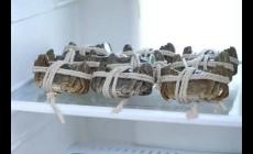 大閘蟹可以和泡沫箱一起放冰箱嗎,大閘蟹放冰箱冷藏還是冷凍