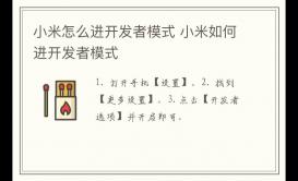 小米怎么進開發者模式 小米如何進開發者模式