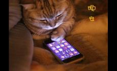 知名網紅中國boy大基佬言論翻車！UP主中國boy道歉，大家接受他的道歉嗎