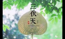 三伏天是幾月幾號2023？今年三伏天時間表2023最細消息