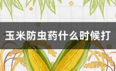 玉米防蟲(chóng)藥最佳時(shí)間是什么時(shí)候