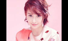 張國榮個人資料