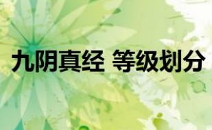 九陰真經等級表，《九陰真經》九陰真經內功升級攻略