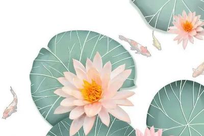 人物外貌描寫的句子摘抄:形容人的外貌的好詞好句