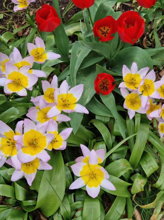 三星s22真實體驗(三星GalaxyS22使用感受你們都不敢買)(7)