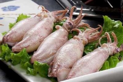 海洋中的魷魚是魚嗎？并不是，魷魚屬于軟體動物