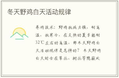 冬天野雞白天活動規律