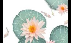 人物外貌描寫的句子摘抄：形容人的外貌的好詞好句