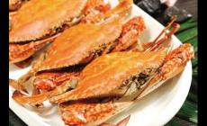 梭子蟹吃什么 梭子蟹的地方俗稱是什么