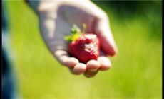 值得收藏的甜寵情侶簽名 幸福甜到膩人的簽名2023