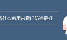 養條什么狗用來看門防盜最好