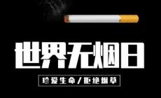 世界無煙日小學活動方案