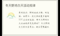 冬天野雞白天活動規律