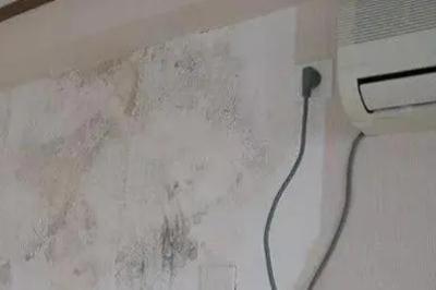 房間濕度大有什么危害？房間濕度大有什么危害嗎？