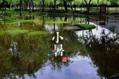 小暑是什么意思?小暑含義的詞語