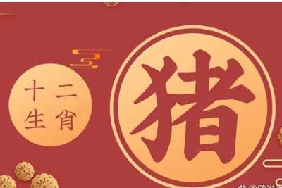 豬年是哪幾年? 今年屬豬的多大了?