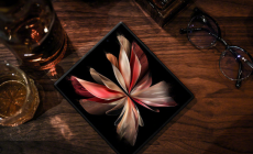 vivoXFold3處理器是什么 vivoXFold3處理器怎么樣