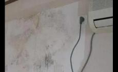 房間濕度大有什么危害？房間濕度大有什么危害嗎？