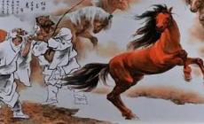 伯樂一顧中的伯樂看的是什么?