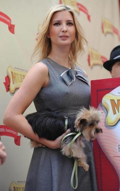 為什么說伊萬卡是大號水蜜桃 伊萬卡被叫大號水蜜桃原因胸部實在太豐滿