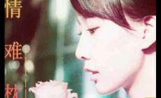 早知道愛會這樣傷人情會如此難枕是什么歌