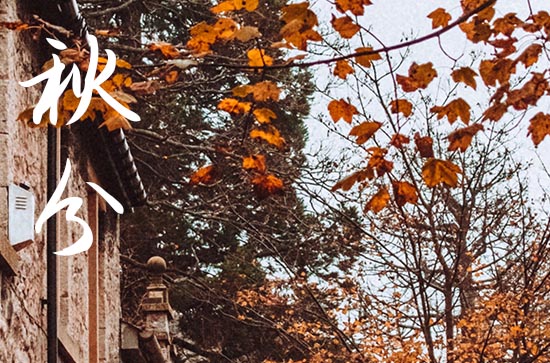 關(guān)于秋分節(jié)氣唯美句子