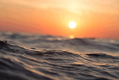 頓五筆怎么打 頓的五筆怎么打字