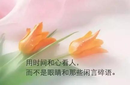 看透社會(huì)現(xiàn)實(shí)的句子匯集123句