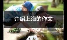 上海城市介紹300字作文 介紹上海的作文300字