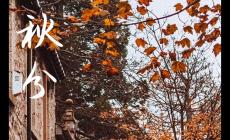 關(guān)于秋分節(jié)氣唯美句子