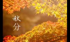 關(guān)于秋分節(jié)氣的文案短句